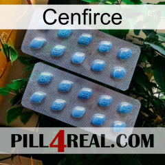 Cenfirce viagra4